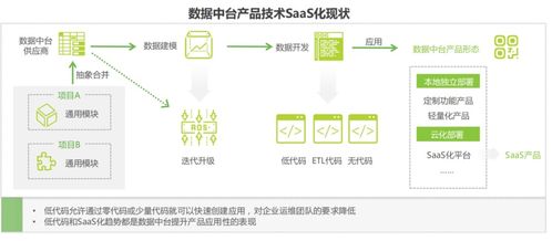 數字化轉型中的數據中臺 知識體系、應用場景與技術服務